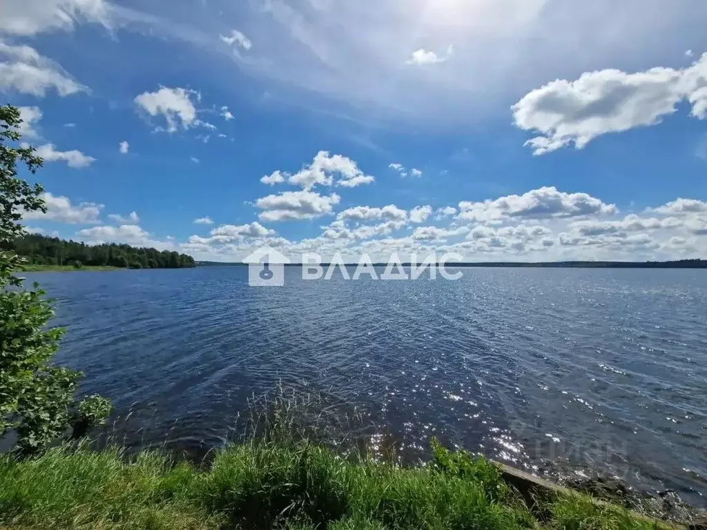 Участок в Ленинградская область, Приозерский район, Красноозерное ... - Фото 1