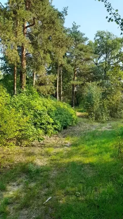 Участок в Санкт-Петербург, Санкт-Петербург, Сестрорецк просп. ... - Фото 1