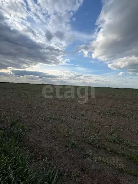Участок в Крым, Сакский район, с. Ивановка  (28344.0 сот.) - Фото 1