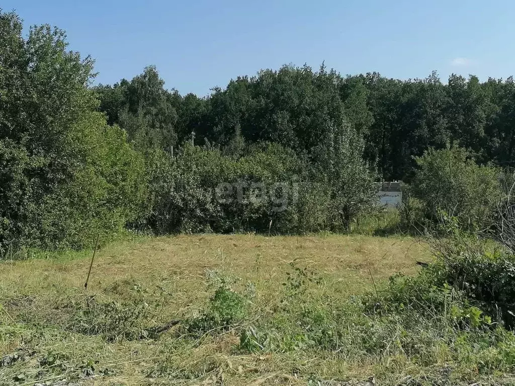 Участок в Ульяновская область, Ульяновск Залив-2 СНТ,  (6.0 сот.) - Фото 1