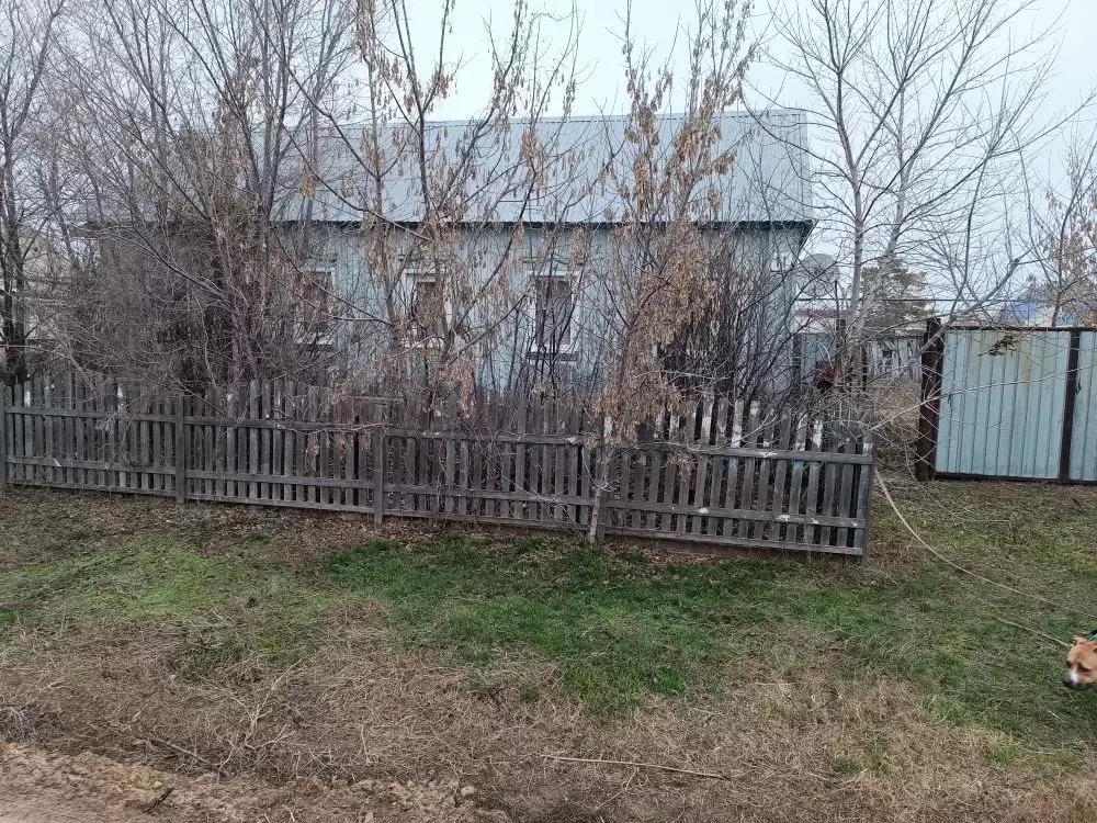 Дом в Оренбургская область, с. Илек ул. Илекская, 11 (50 м) - Фото 1