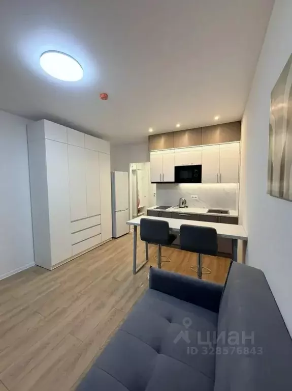 Студия Московская область, Мытищи ул. Колонцова, 2Бк3 (20.0 м) - Фото 1