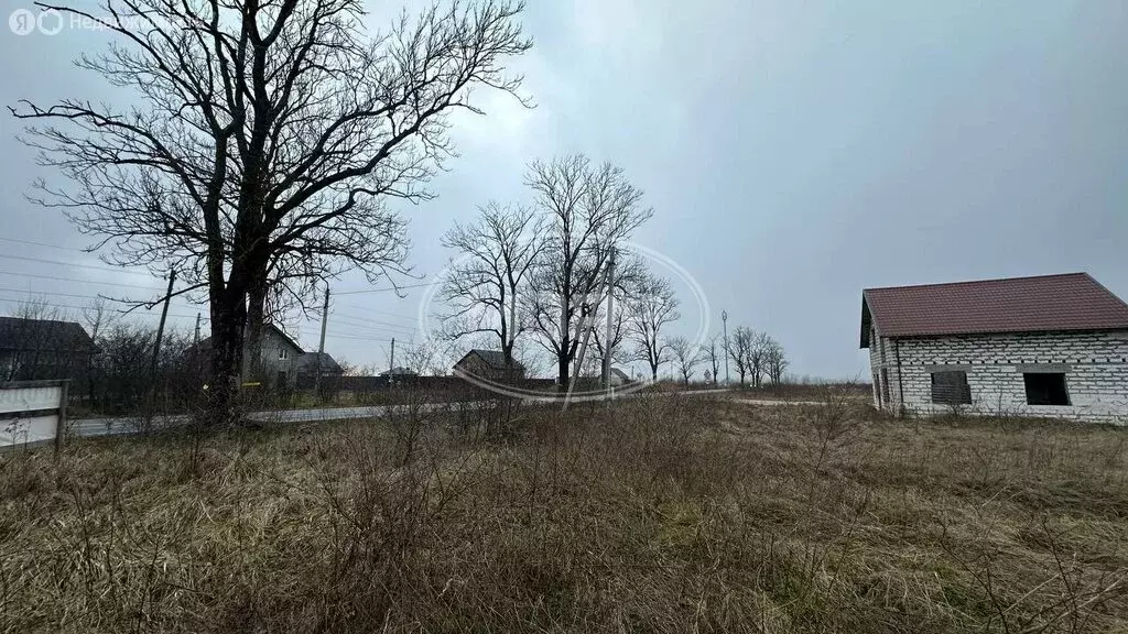 Участок в Калининградская область, Гурьевский муниципальный округ (8 ... - Фото 1