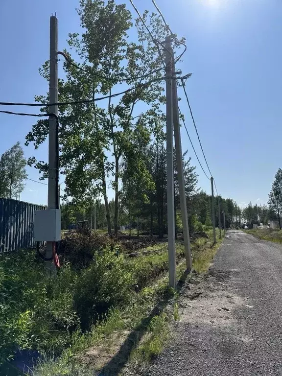 Участок в Ленинградская область, Всеволожское городское поселение, ... - Фото 2
