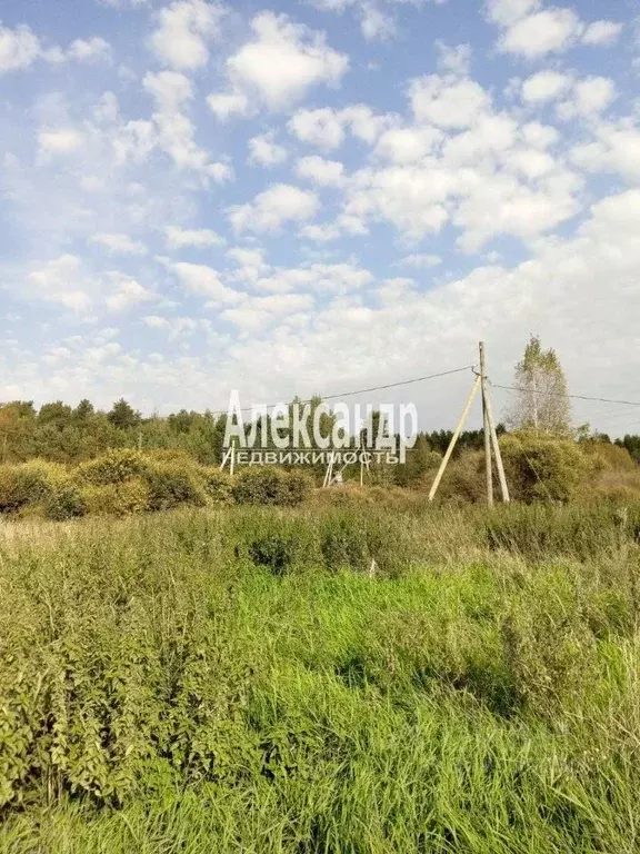 Участок в Ленинградская область, Приозерский район, Севастьяновское ... - Фото 1