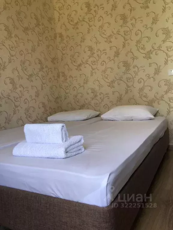 Комната Краснодарский край, Сочи ул. Просвещения, 85А (9.0 м) - Фото 2