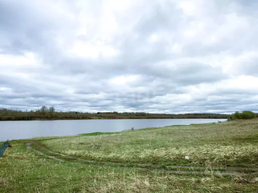 Участок в Ленинградская область, Волховское городское поселение, ... - Фото 1