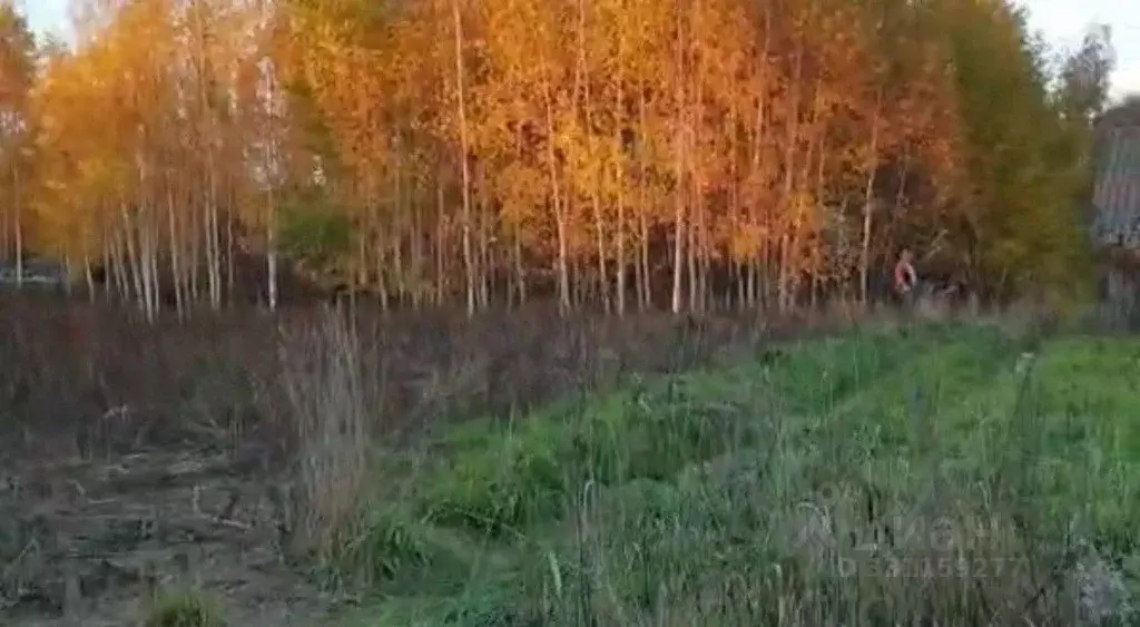 Участок в Нижегородская область, Чкаловск муниципальный округ, д. ... - Фото 1