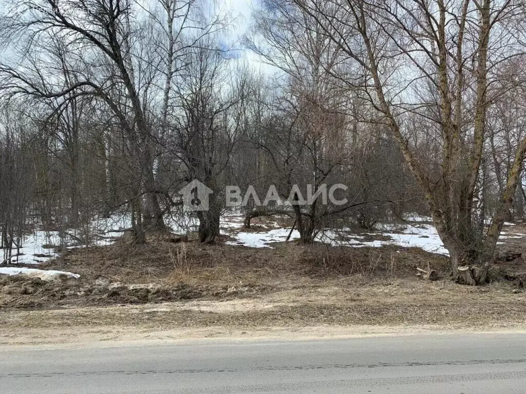 Участок в Гороховецкий район, муниципальное образование Куприяновское, ... - Фото 0