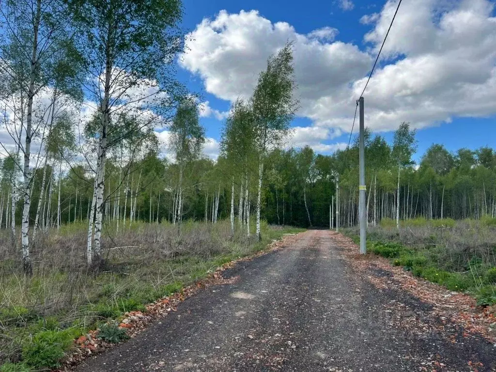 Участок в Тульская область, Тула городской округ, с. Архангельское ул. ... - Фото 1