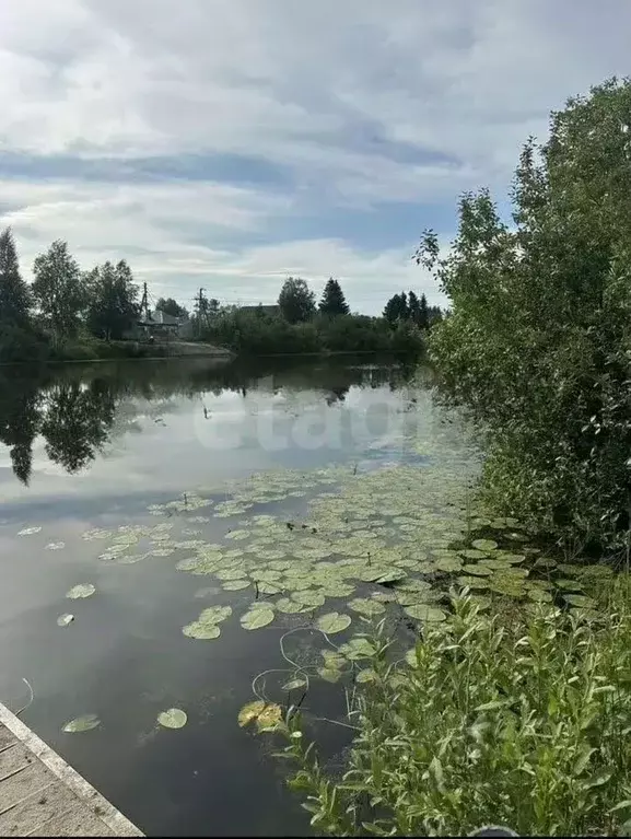 Участок в Новосибирская область, Колыванский район, Рыбачий СНТ 6 ... - Фото 1