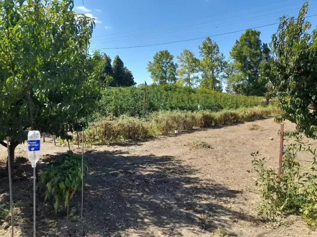 Участок в Крым, Бахчисарайский район, с. Вилино  (161.95 сот.) - Фото 1