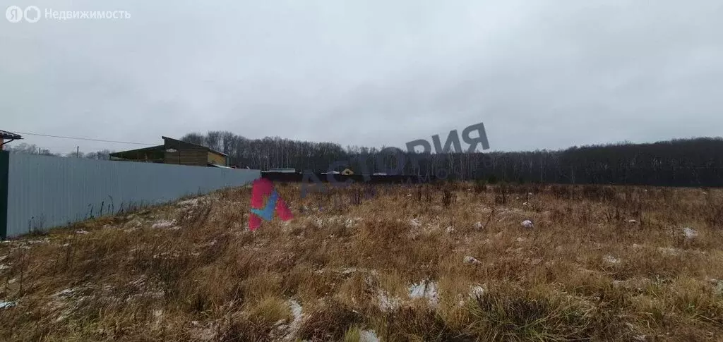 Участок в Тульская область, городской округ Тула, село Торхово (12 м) - Фото 1