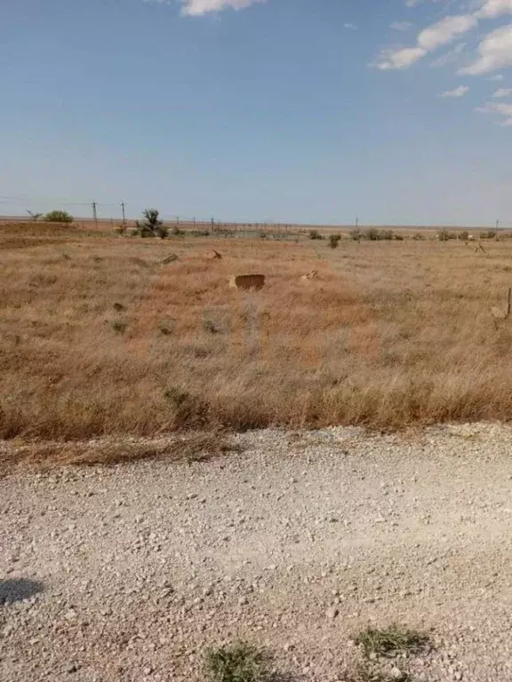 Участок в Крым, Сакский район, с. Митяево ул. Южная (10.0 сот.) - Фото 1