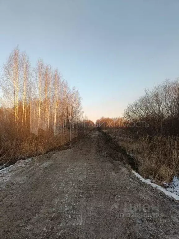 Участок в Тюменская область, Нижнетавдинский муниципальный округ, ... - Фото 0