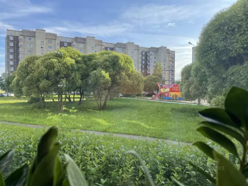 2-к кв. Ленинградская область, Кириши ул. Строителей, 44 (46.9 м) - Фото 1