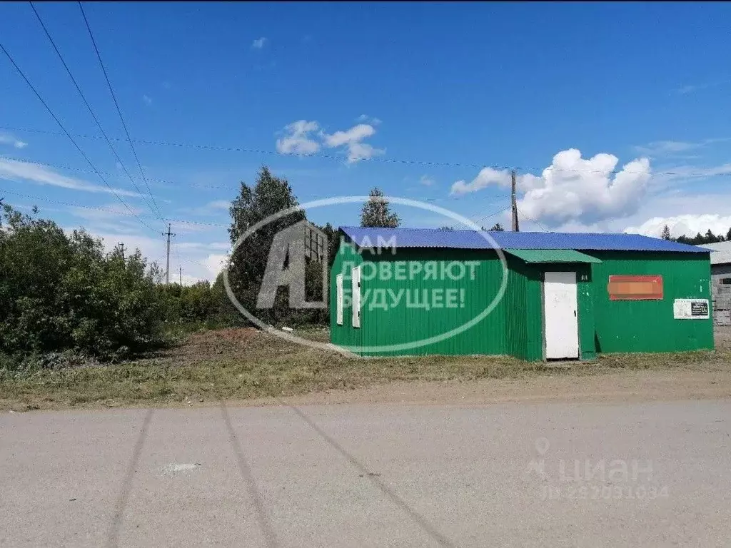 Торговая площадь в Пермский край, Чернушинский городской округ, пос. ... - Фото 1