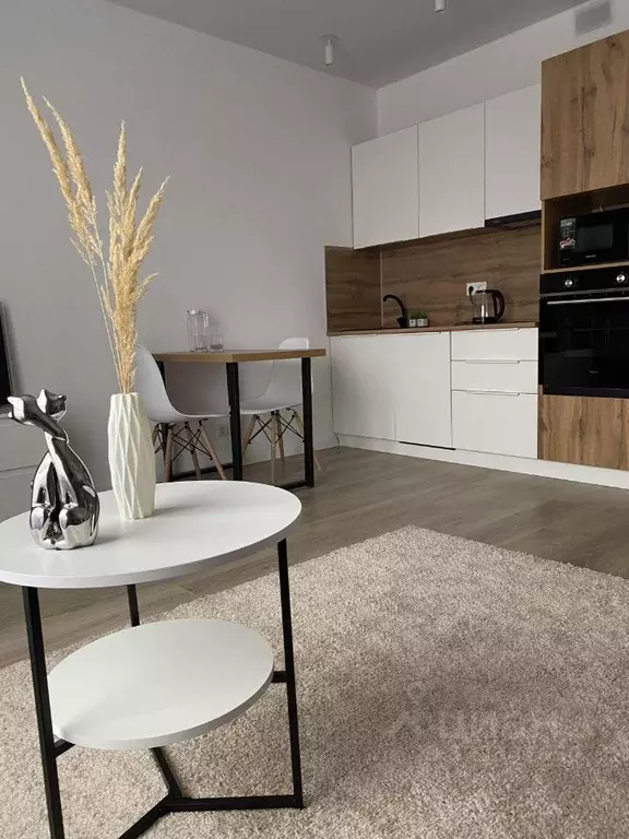 Студия Московская область, Красногорск городской округ, пос. ... - Фото 1