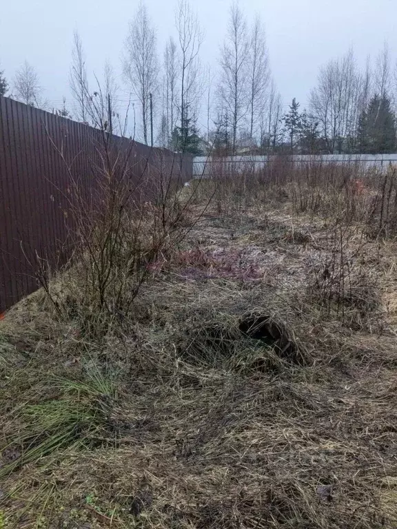 Участок в Ленинградская область, Сертолово Всеволожский район, Ягодка ... - Фото 2