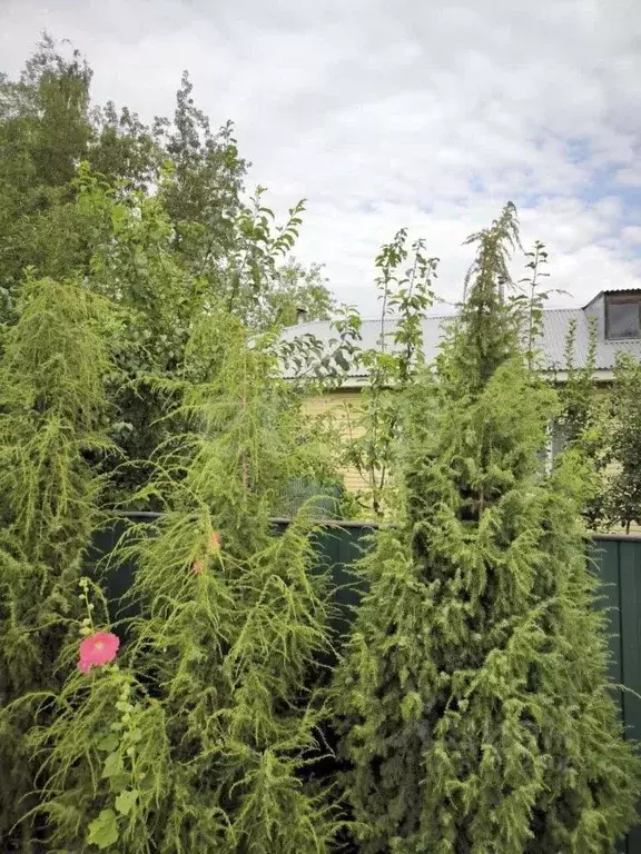 3-к кв. Владимирская область, Муром Стахановская ул., 17 (58.6 м) - Фото 1