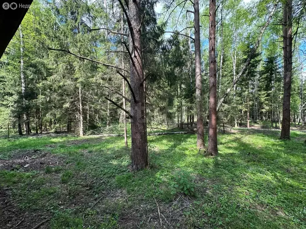 Дом в Московская область, городской округ Солнечногорск, деревня ... - Фото 2
