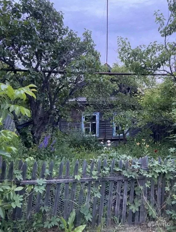 Дом в Саратовская область, с. Багаевка  (46 м) - Фото 0