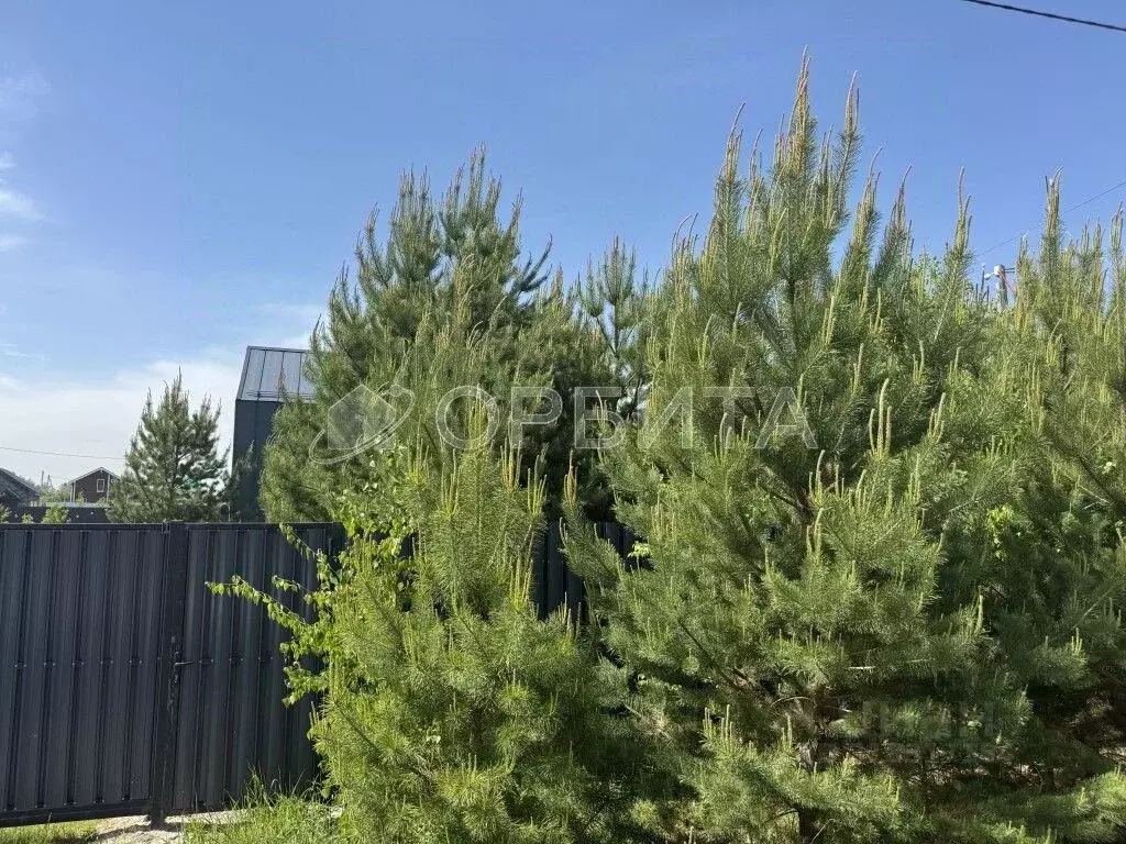 Дом в Тюменская область, Тюменский район, д. Якуши пер. Мичурина (48 ... - Фото 2