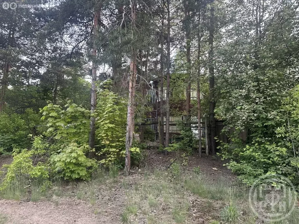 Участок в Сестрорецк, Ермоловский переулок, 5 (20.6 м) - Фото 1