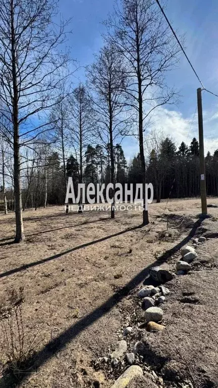 Участок в Ленинградская область, Приозерский район, Ларионовское ... - Фото 1