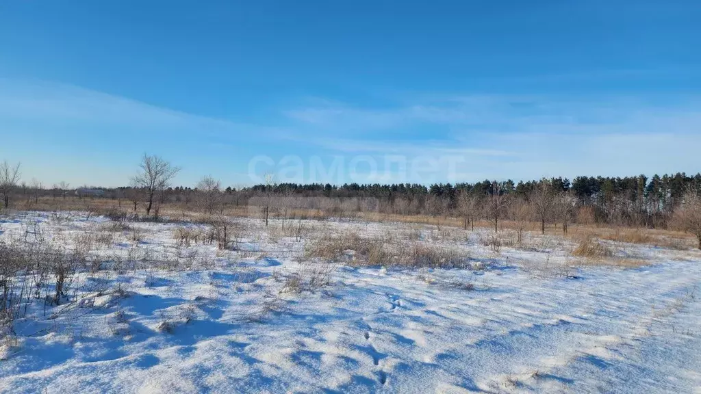 Участок в Оренбургская область, Оренбургский район, Южноуральский ... - Фото 1