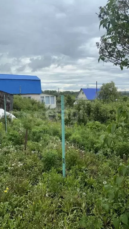 Участок в Башкортостан, Уфа Родник со, 2 (10.0 сот.) - Фото 1