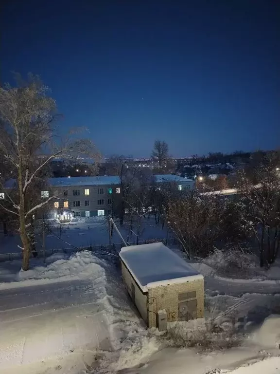 1-к кв. Саратовская область, Саратов Брянский проезд, 4 (24.5 м) - Фото 1