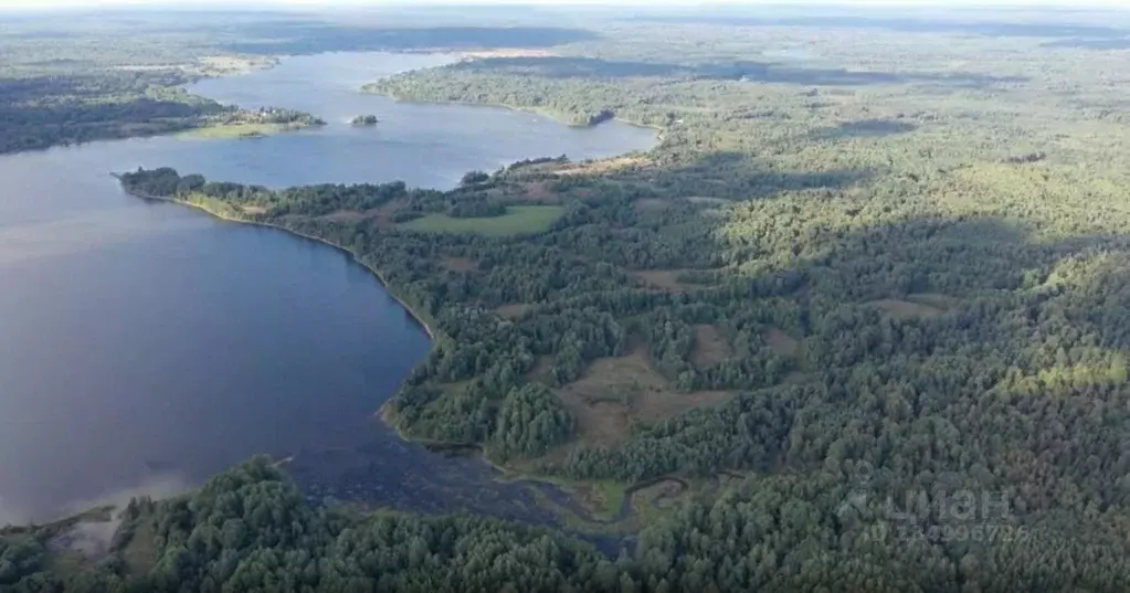 Участок в Тверская область, Осташковский городской округ, д. Кожурица  ... - Фото 0