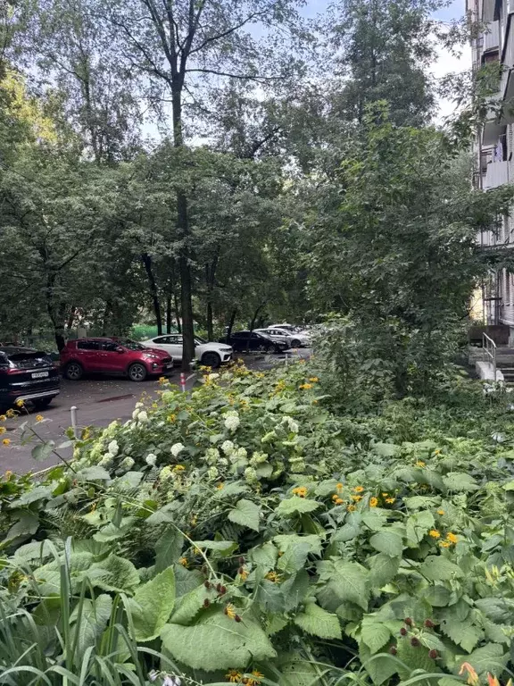 2-к кв. Москва Ленинградское ш., 52 (44.22 м) - Фото 1