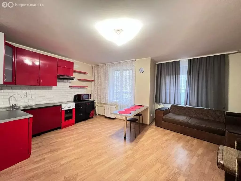 Квартира-студия: Мурино, проспект Авиаторов Балтики, 9к3 (31.5 м) - Фото 1