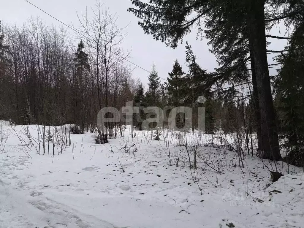 Участок в Свердловская область, Нижний Тагил муниципальный округ, пос. ... - Фото 1