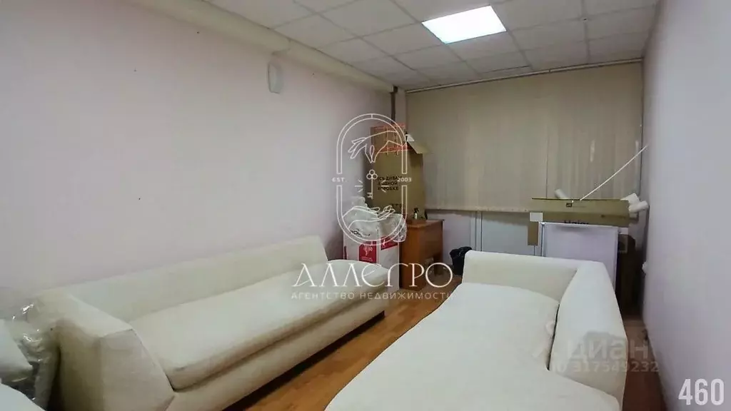 Офис в Севастополь ул. Воронина, 10 (18 м) - Фото 1