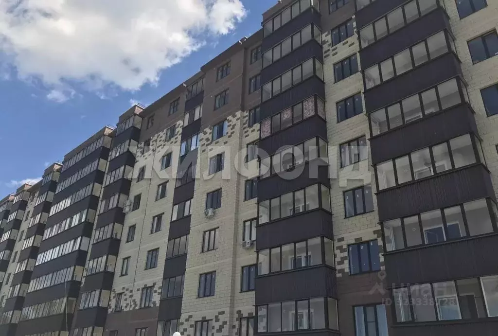 2-к кв. Белгородская область, Белгородский район, Дубовское с/пос, ... - Фото 2