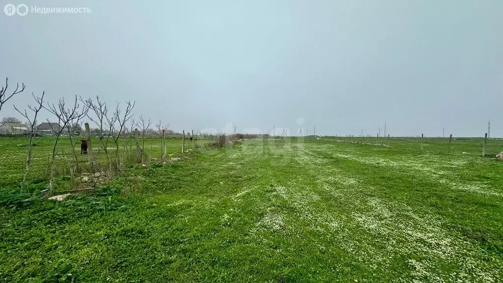 Участок в Красносельское, улица Ленина (10 м) - Фото 2