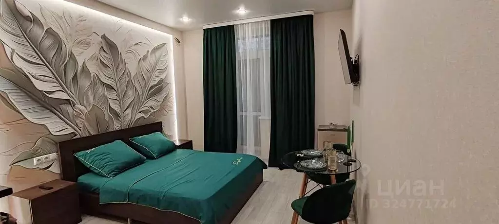 Студия Московская область, Раменское ул. Березовая Роща, 4 (24.0 м) - Фото 1