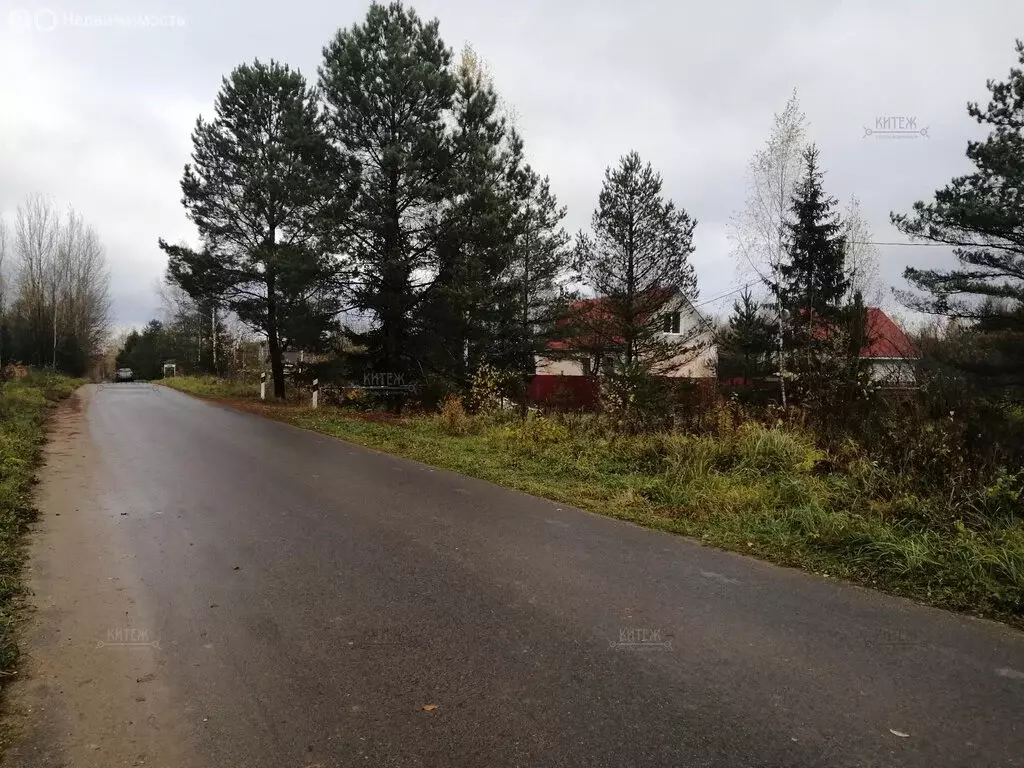 Участок в Калужская область, Ферзиковский муниципальный округ, ... - Фото 2