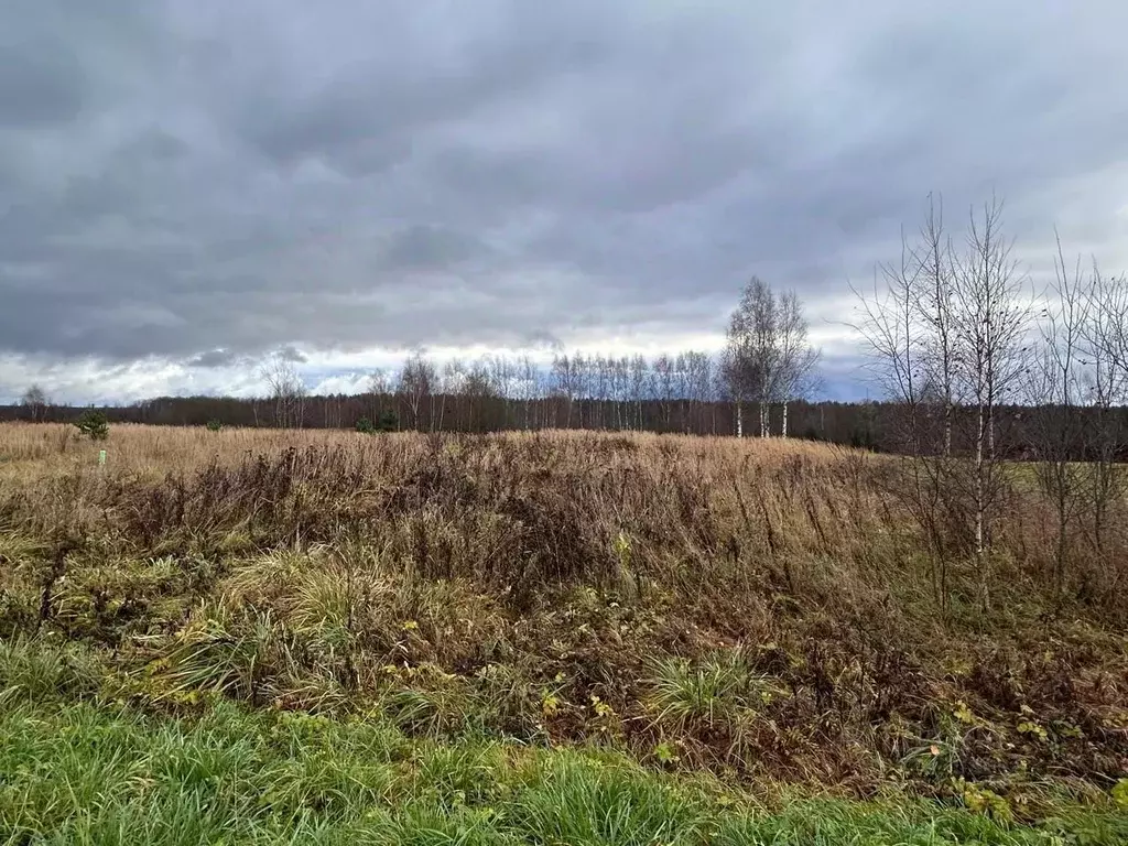 Участок в Московская область, Лотошино муниципальный округ, с. Егорье  ... - Фото 2