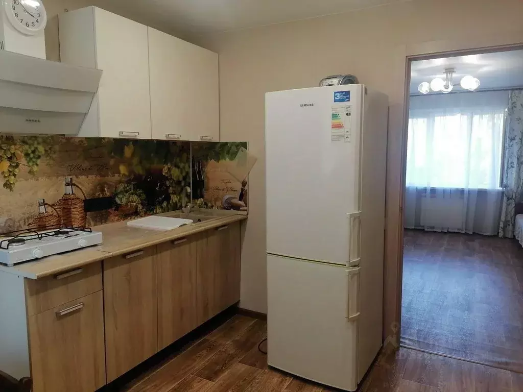 1-к кв. Краснодарский край, Сочи ул. Гагарина, 28 (28.0 м) - Фото 2