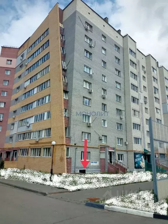 Помещение свободного назначения в Нижегородская область, Кстово просп. ... - Фото 0