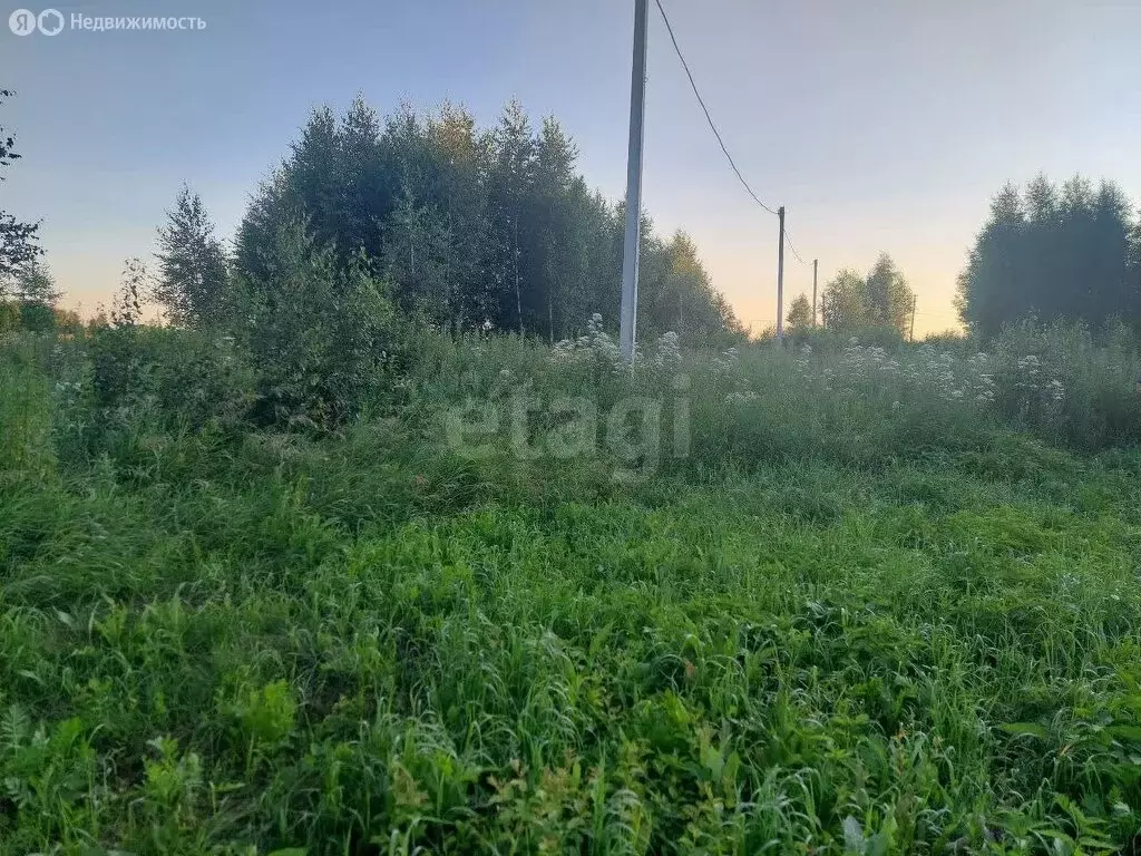 Участок в муниципальный округ Омский район, деревня Зелёное Поле ... - Фото 2