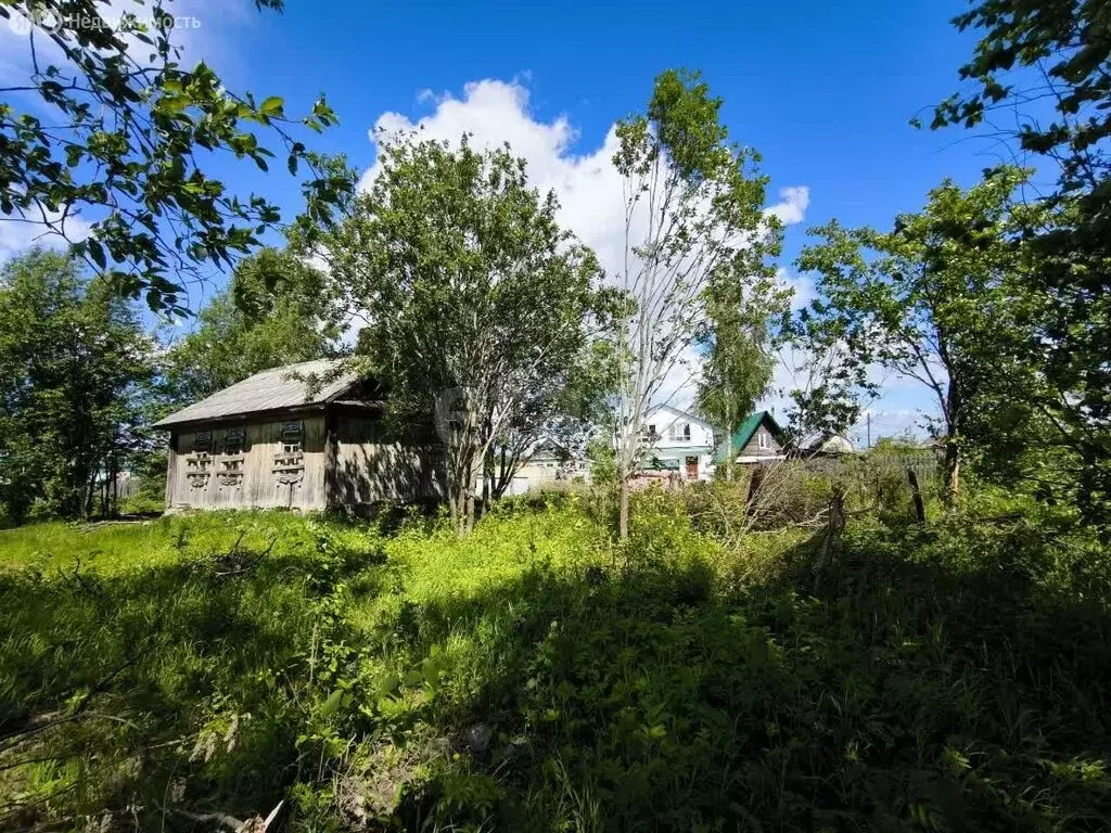 Участок в Березники, улица Писарева (7.6 м) - Фото 2