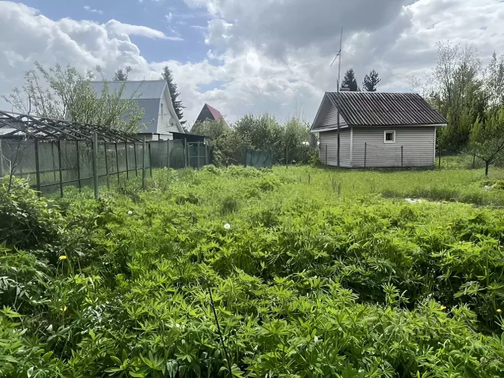 Участок в Ленинградская область, Гатчинский район, Новинка ... - Фото 1