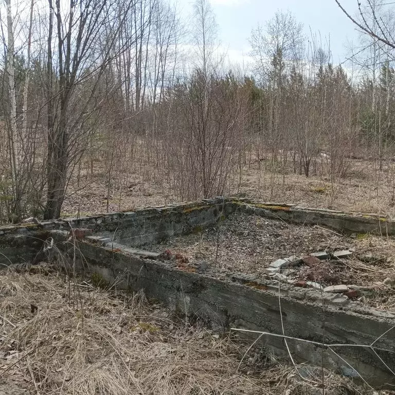 Участок в Усть-Илимск, СНТ Парковая (12 м) - Фото 2