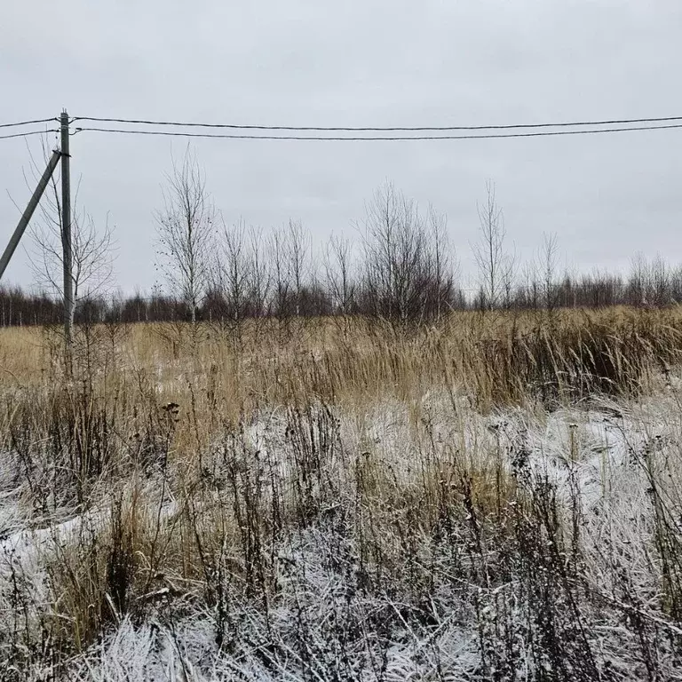 Участок в Московская область, Луховицы муниципальный округ, пос. ... - Фото 0