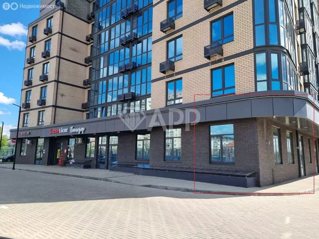 Помещение свободного назначения (65.6 м) - Фото 1